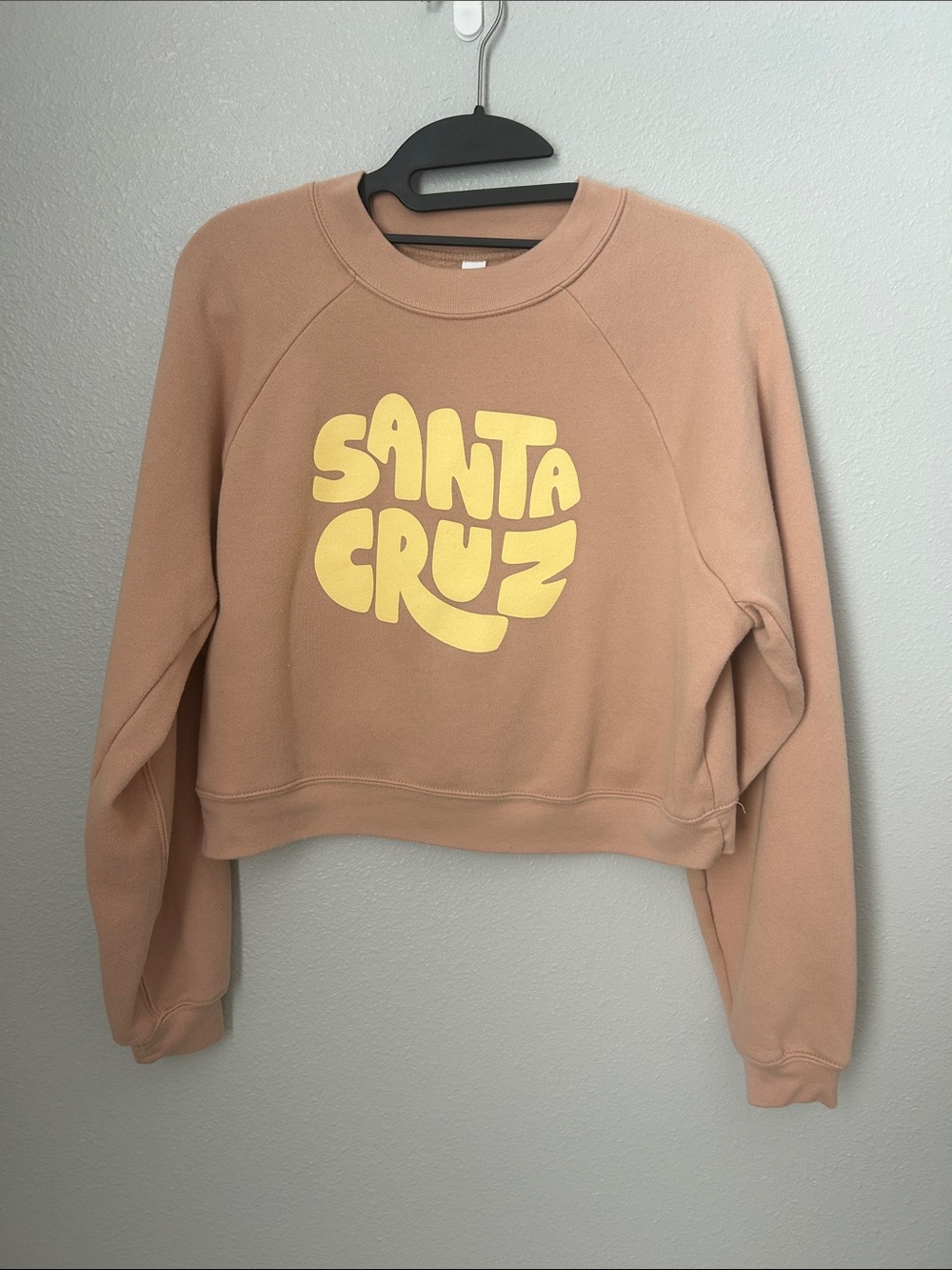 Santa Cruz Cropped Sweatshirt